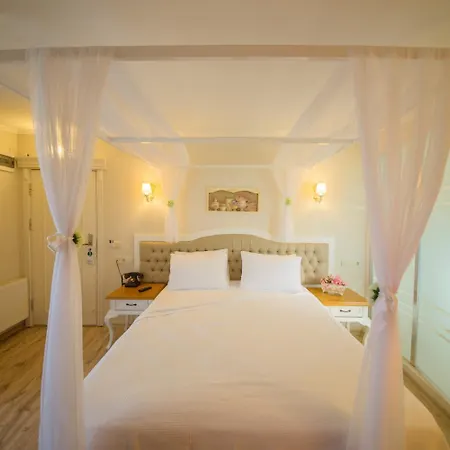 Biga Palas Hotel فندق