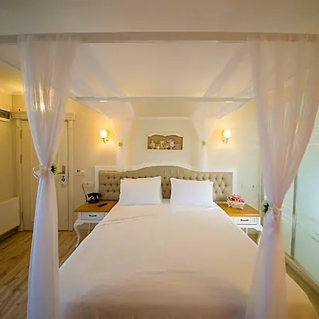 Biga Palas Hotel 2* 비가