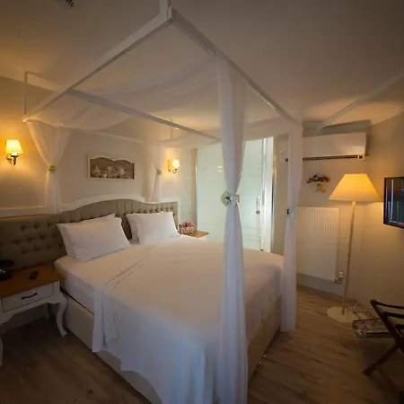호텔 Biga Palas Hotel 2*