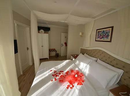 Biga Palas Hotel 2* بيغا